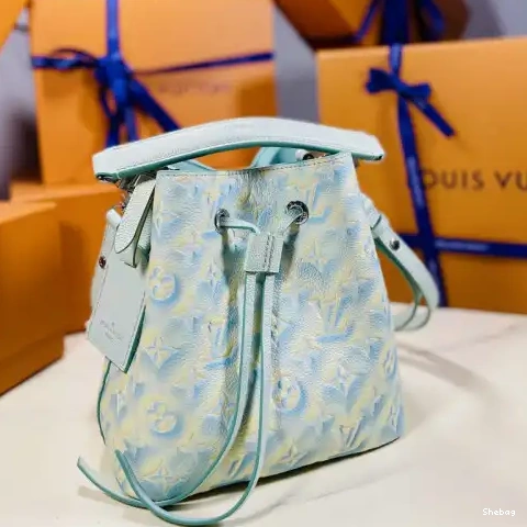 Bag 2207DJ0003 LV 0806